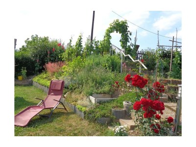 Apartment Appartement mit Terrasse - Outdoor photo 14