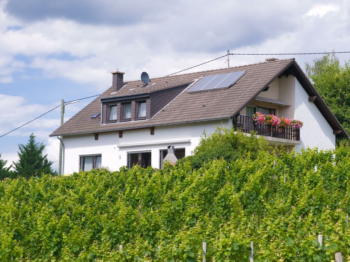 Apartment 4-Bettwohnung