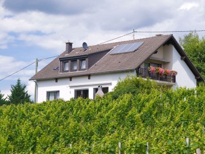 Apartment 4-Bettwohnung in Neumagen-Dhron - Apartment