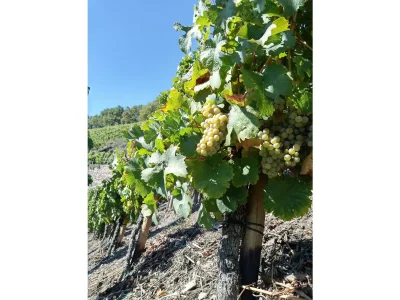 Apartment Ferienwohnung im Kirchberg - Outdoor photo 7