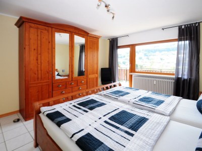 Apartment Ferienwohnung im Kirchberg - Features photo 12