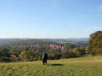 Holiday apartment 2009 renoviert - Familie Friedewald - Environment photo 14