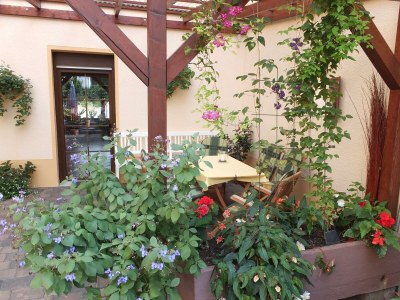 Apartment Ferienwohnung Susanne - Outdoor photo 2