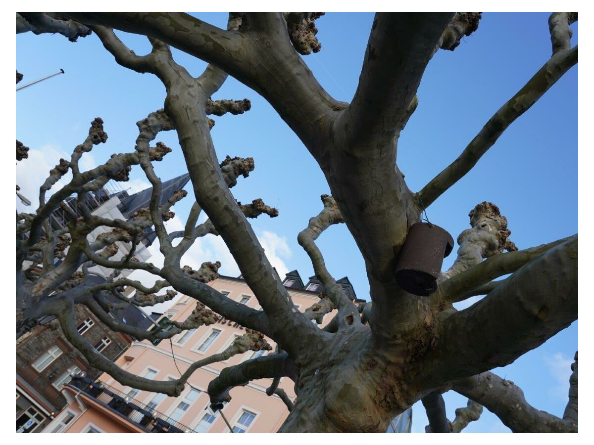 Apartment Ferienwohnung Drüber - Outdoor photo 5