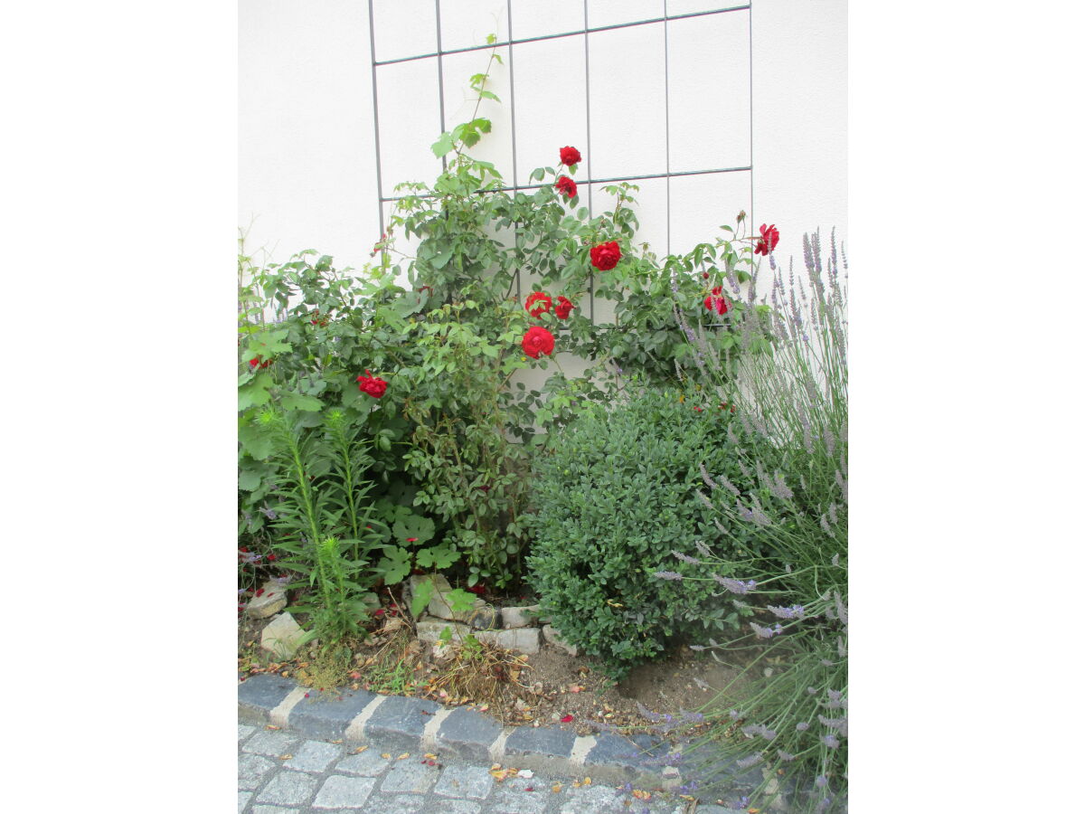 Holiday apartment No title - Outdoor photo 4