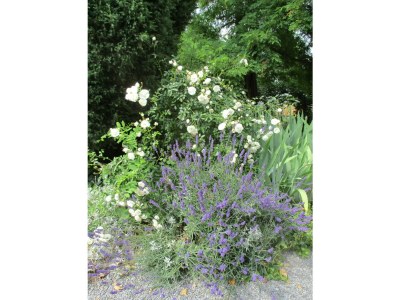 Holiday apartment No title - Outdoor photo 6