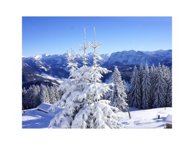 Holiday apartment Rosenhaus 1 - Environment photo 19