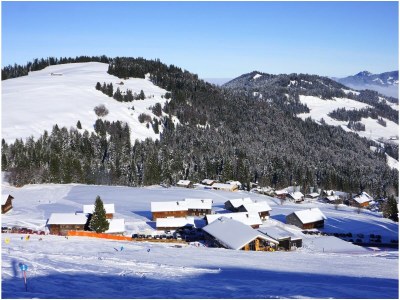 Holiday apartment Rosenhaus 1 - Environment photo 20