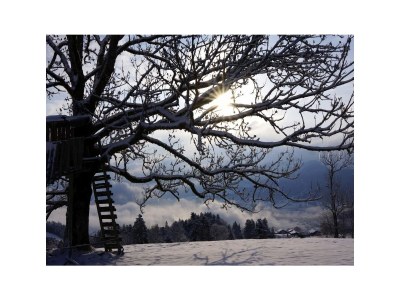 Holiday apartment Rosenhaus 1 - Environment photo 26