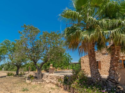 Villa Saran - Outdoor photo 17