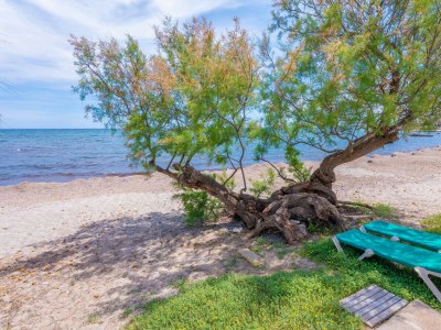 Holiday house Cas Ferrerico - Outdoor photo 36