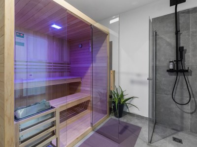 Villa Villa Ulika - Pool, Jacuzzi and Sauna - Features photo 52