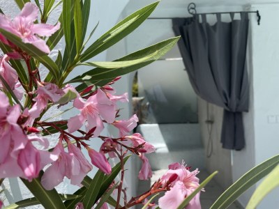 Holiday apartment Casa Trempnau - Outdoor photo 5