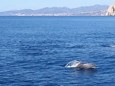 Holiday apartment Casa Trempnau - Environment photo 36