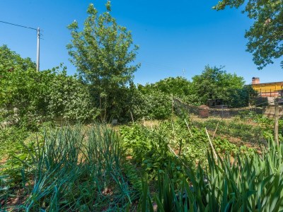 Holiday house Casa Ajla with private Pool - Environment photo 30