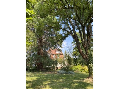 Villa Villa 1907 Wissembourg - Outdoor photo 4