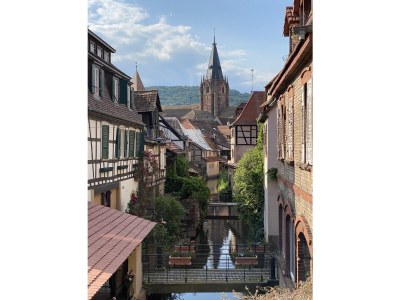 Villa Villa 1907 Wissembourg - Environment photo 30