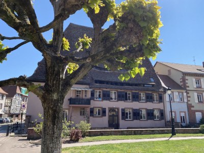 Villa Villa 1907 Wissembourg - Environment photo 32