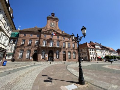 Villa Villa 1907 Wissembourg - Environment photo 33