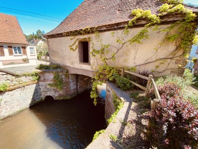 Villa Villa 1907 Wissembourg - Environment photo 34