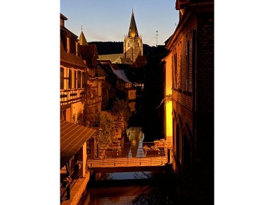 Villa Villa 1907 Wissembourg - Environment photo 35