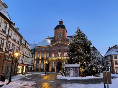 Villa Villa 1907 Wissembourg - Environment photo 37
