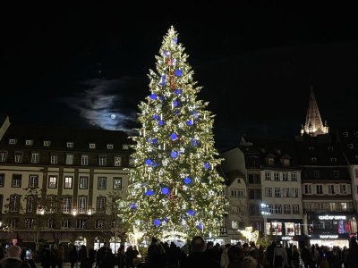 Villa Villa 1907 Wissembourg - Environment photo 40