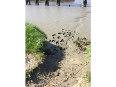 Holiday house No title - Environment photo 19