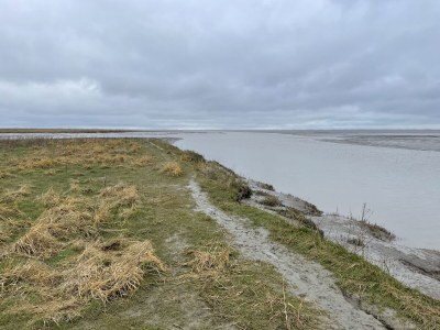 Holiday house No title - Environment photo 20