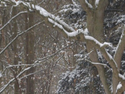 Holiday apartment Geradts - Environment photo 10