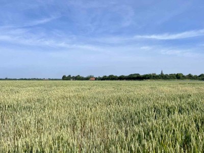 Bungalow Bungalow Noordwelle - ZE086 - Environment photo 19