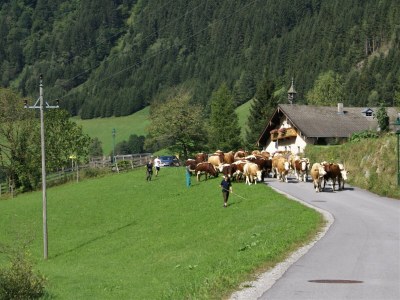 Holiday apartment Schareck - Haus Bergmoment - Outdoor photo 4