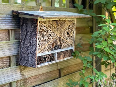 Holiday apartment Alte Schule Nausdorf - Outdoor photo 6