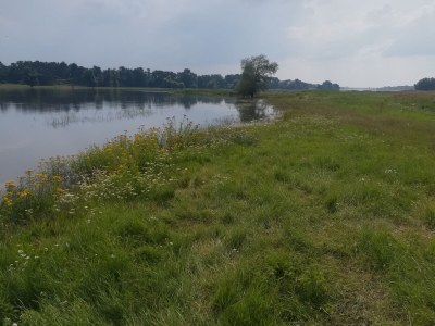 Holiday apartment Alte Schule Nausdorf - Environment photo 16