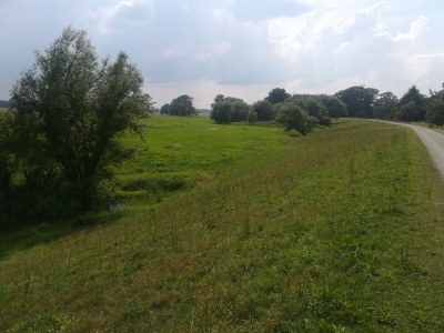 Holiday apartment Alte Schule Nausdorf - Environment photo 17