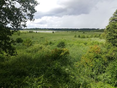 Holiday apartment Alte Schule Nausdorf - Environment photo 18