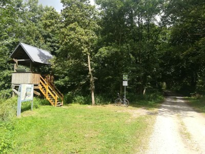 Holiday apartment Alte Schule Nausdorf - Environment photo 19