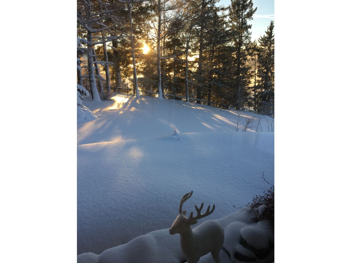 Holiday apartment Villa Seepark, Schluchsee - Outdoor photo 3