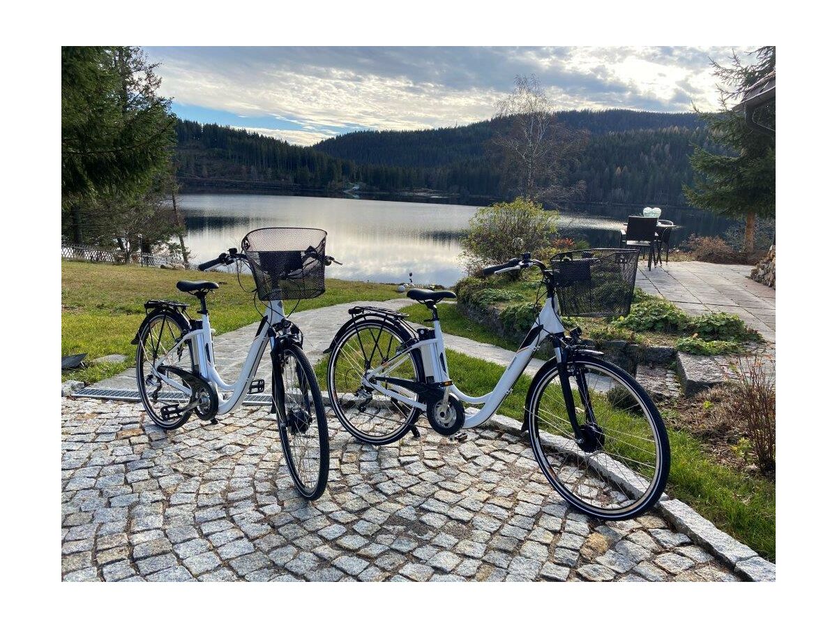 Holiday apartment Villa Seepark, Schluchsee - Outdoor photo 4