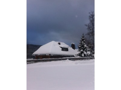 Holiday apartment Villa Seepark, Schluchsee - Outdoor photo 2