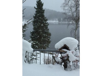 Holiday apartment Villa Seepark, Schluchsee - Outdoor photo 7