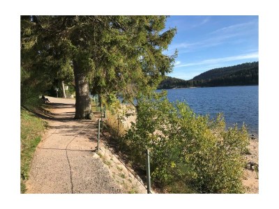 Holiday apartment Villa Seepark, Schluchsee - Environment photo 18