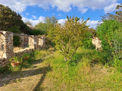 Holiday house La Perla - Outdoor photo 12