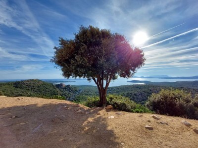 Holiday house La Perla - Environment photo 24