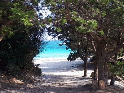 Holiday house La Perla - Environment photo 27