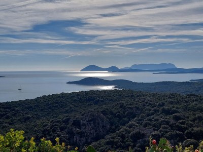 Holiday house La Perla - Environment photo 28