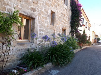 Holiday house La Perla - Environment photo 30