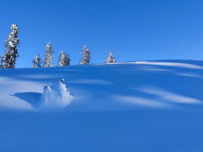 Holiday apartment The Neuhaus - Outdoor photo 16