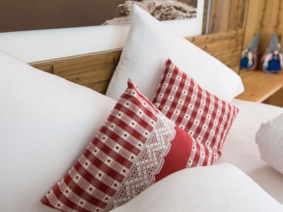 Holiday house HÃ¼tterwirtshof Holiday Home - Features photo 14