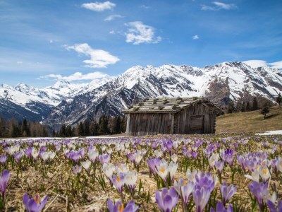 Holiday house HÃ¼tterwirtshof Holiday Home - Environment photo 20